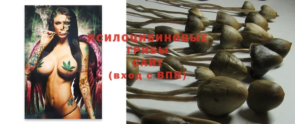 хмурый Абдулино
