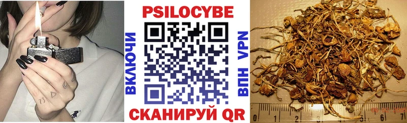 Псилоцибиновые грибы прущие грибы Луга